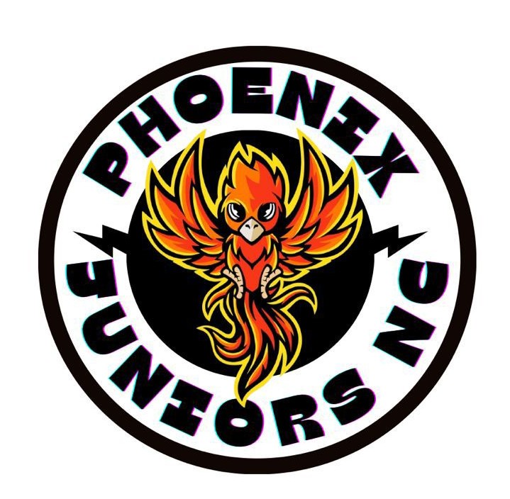 Phoenix Juniors Netball Club Logo